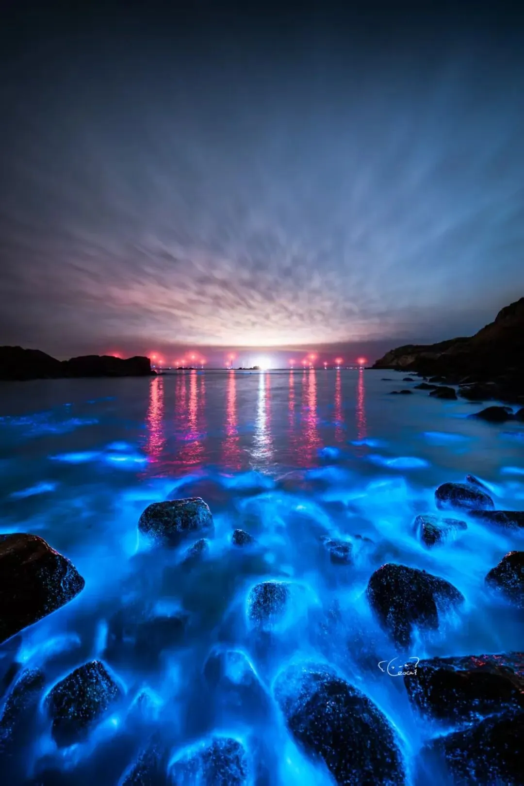 《「荧海浮光」NOCTILUCENT SHIMMER》——阿羊今天不拍照作品